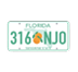 10. License Plate Integration