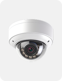 AI Video Surveillance